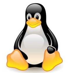 ���������� ������ �� �������� �� Linux